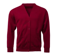 School Polo